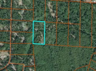 102 NE Smithy Forge Ln, Belfair, WA 98528