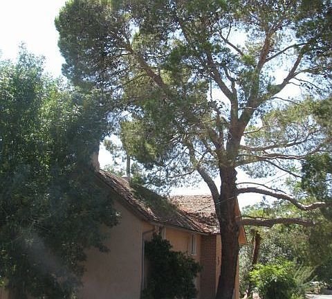 5th image of 3309 Hamblin Dr