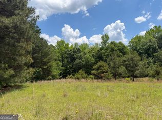 10 Long Branch Rd, Toomsboro, GA 31090