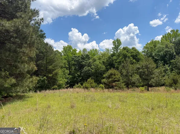 10 Long Branch Rd, Toomsboro, GA 31090