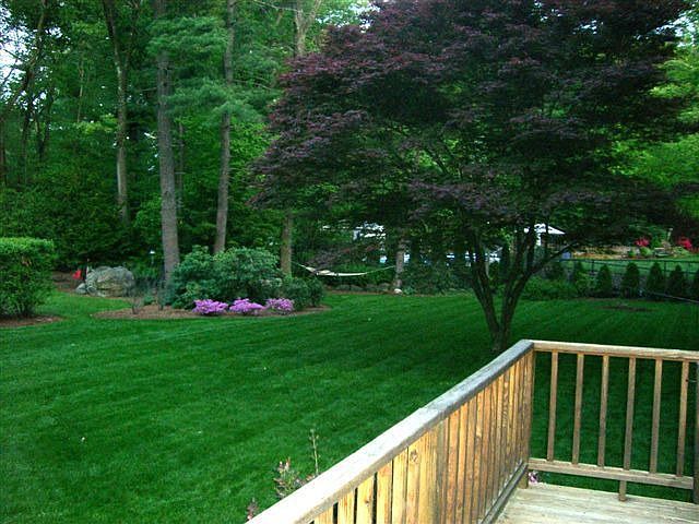 View from Deck