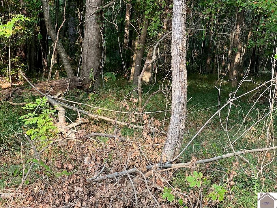2nd image of 11 Cassidy Rd