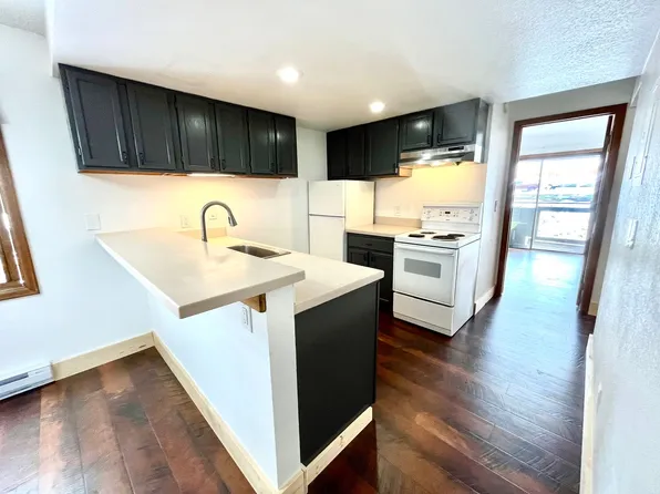 Thunder Mountain Condominums, 2030 Walton Creek Rd #205, Steamboat Springs, CO 80487