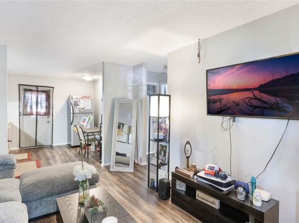 tampa-florida-2067997220 picture