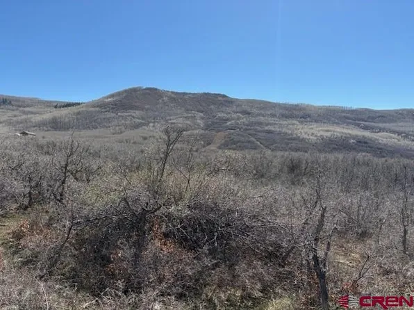 20636 3100 Road, Hotchkiss, CO 81419