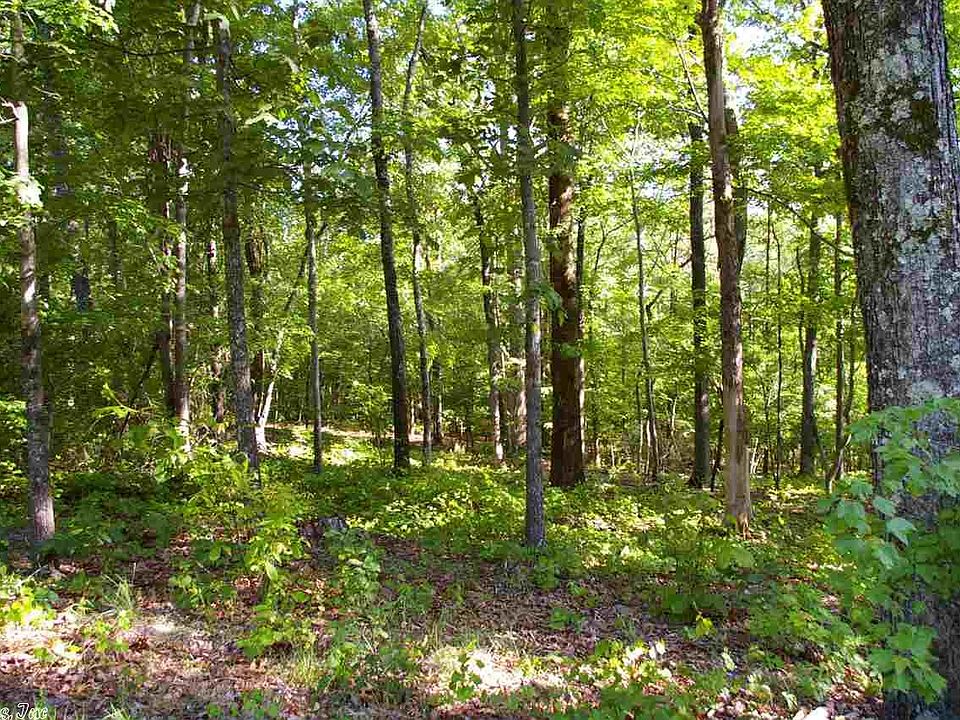 2nd image of 135 Billy Goat Mountain Rd
