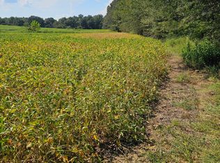 0 Sidney McNeeley Rd, Marion, KY 42064