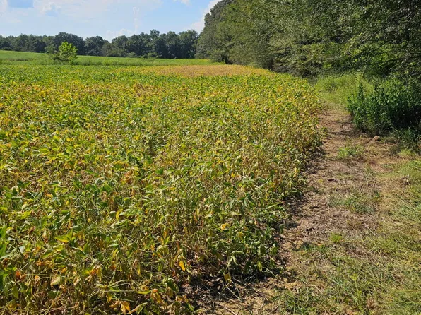 0 Sidney McNeeley Rd, Marion, KY 42064