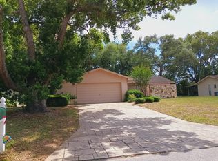 9046 Blackstone St, Spring Hill, FL 34608