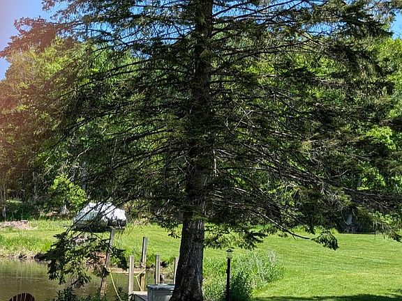5th image of 246 Birch Dr