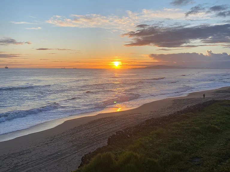 Florida Gardens — Photo 22