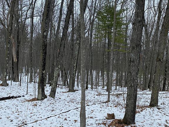 4th image of 28 Robinhood Dr