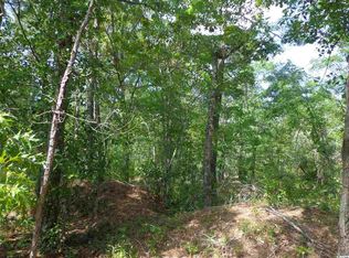 Dirt Rd TRACT A, Conway, SC 29526