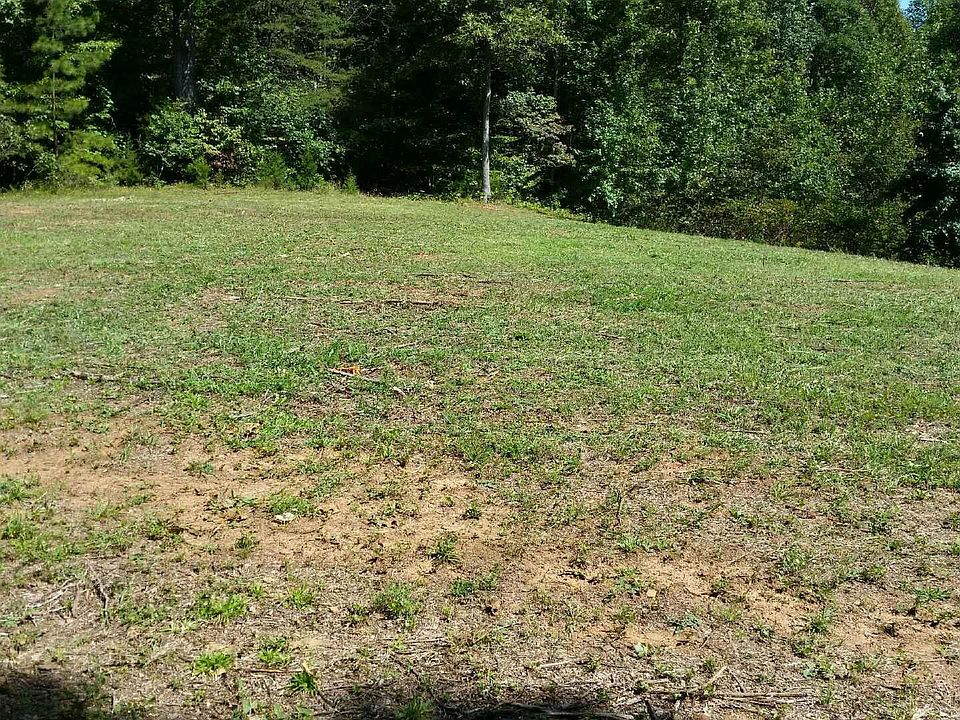 1st image of 4505 Shannon Forest Lane