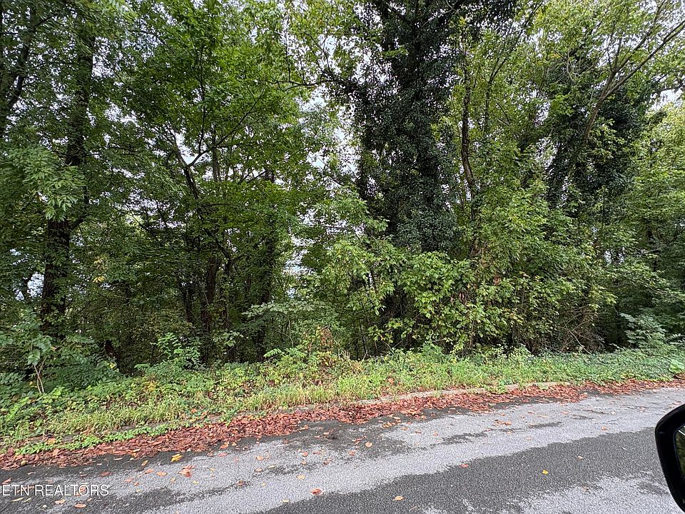 2nd image of Dogwalk Rd