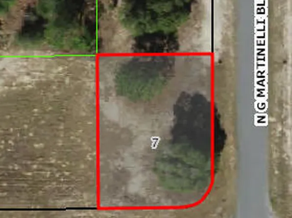 2765 W Arbutus Dr, Citrus Springs, FL 34433