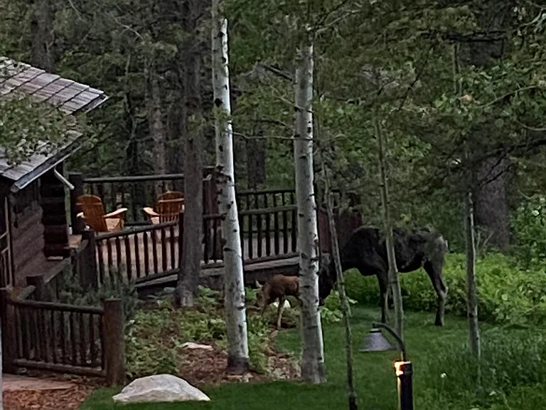 large property full of wildlife