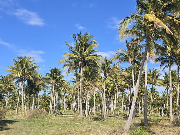 *Property View