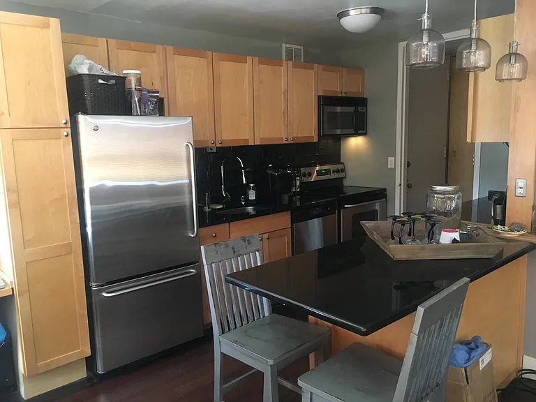 655 W Irving Park Rd #2117 — Photo 5