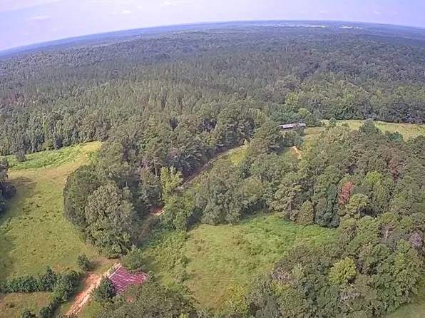 County Road 113, Heidelberg, MS 39439