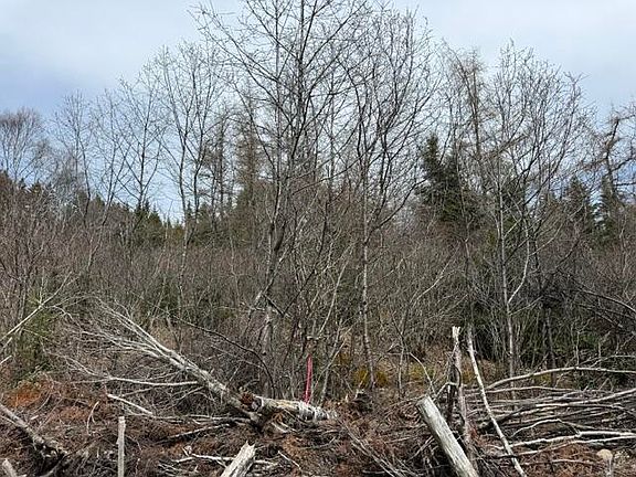 5th image of Lot 4 Holmes Bay Farms Road