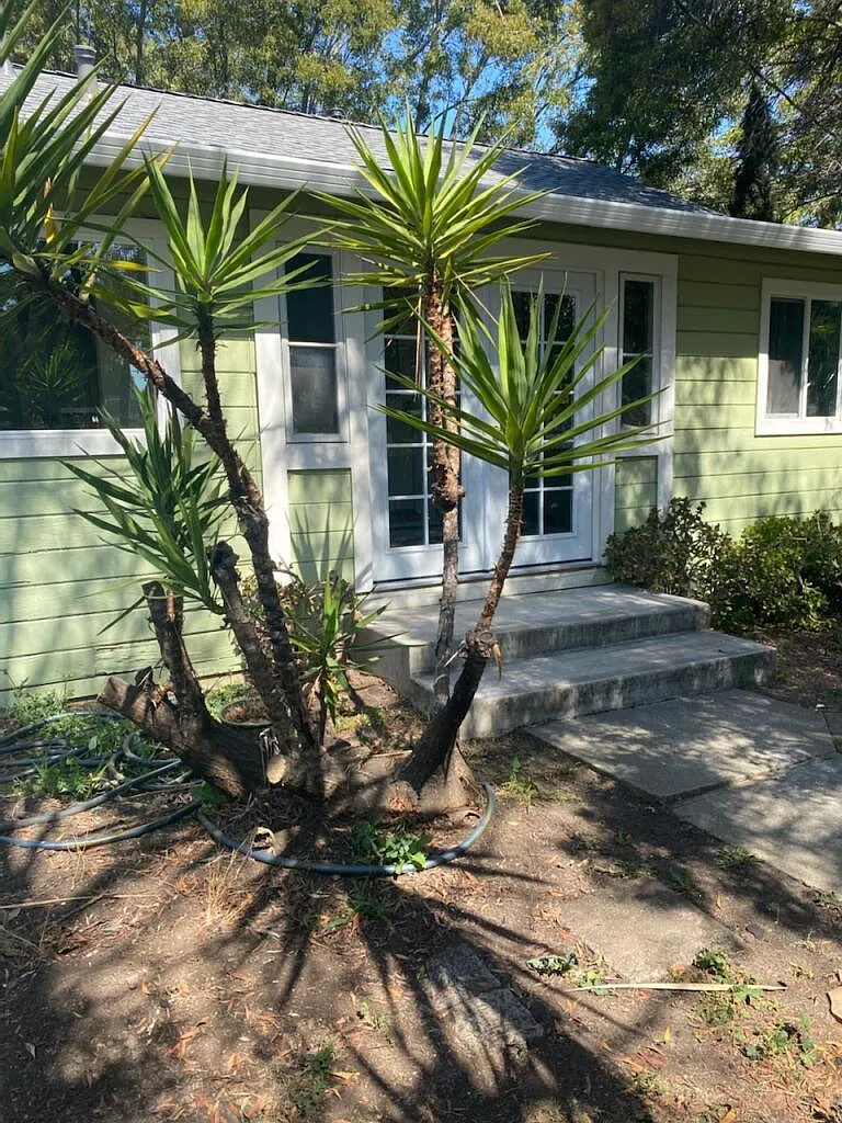 220 W Charleston Rd photo 1