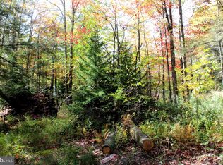 8 Scarlet Cardinal Ln, Mount Storm, WV 26739