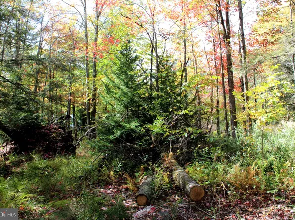 8 Scarlet Cardinal Ln, Mount Storm, WV 26739