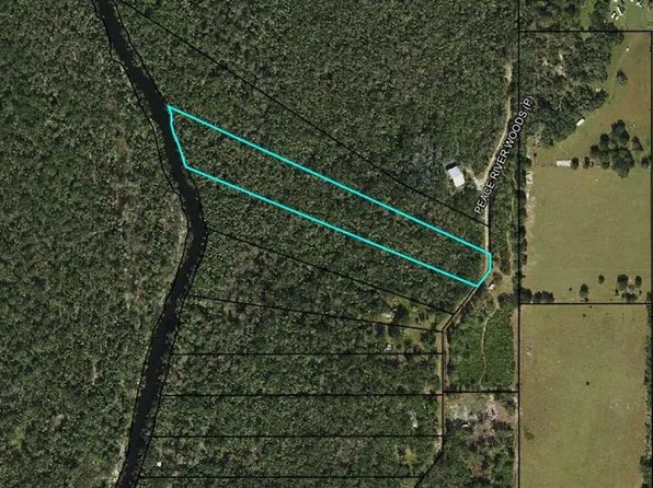 0 Peace River Woods Lot 23, Wauchula, FL 33873