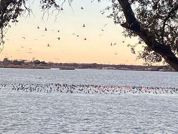 2nd image of 1911 Beaty Rd #27