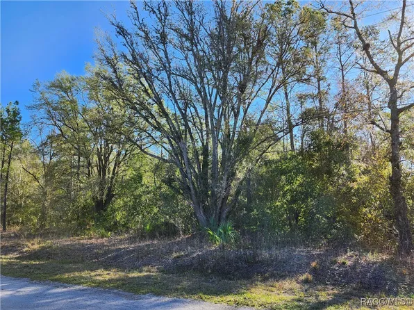 10063 N Dawnflower Ave, Crystal River, FL 34428