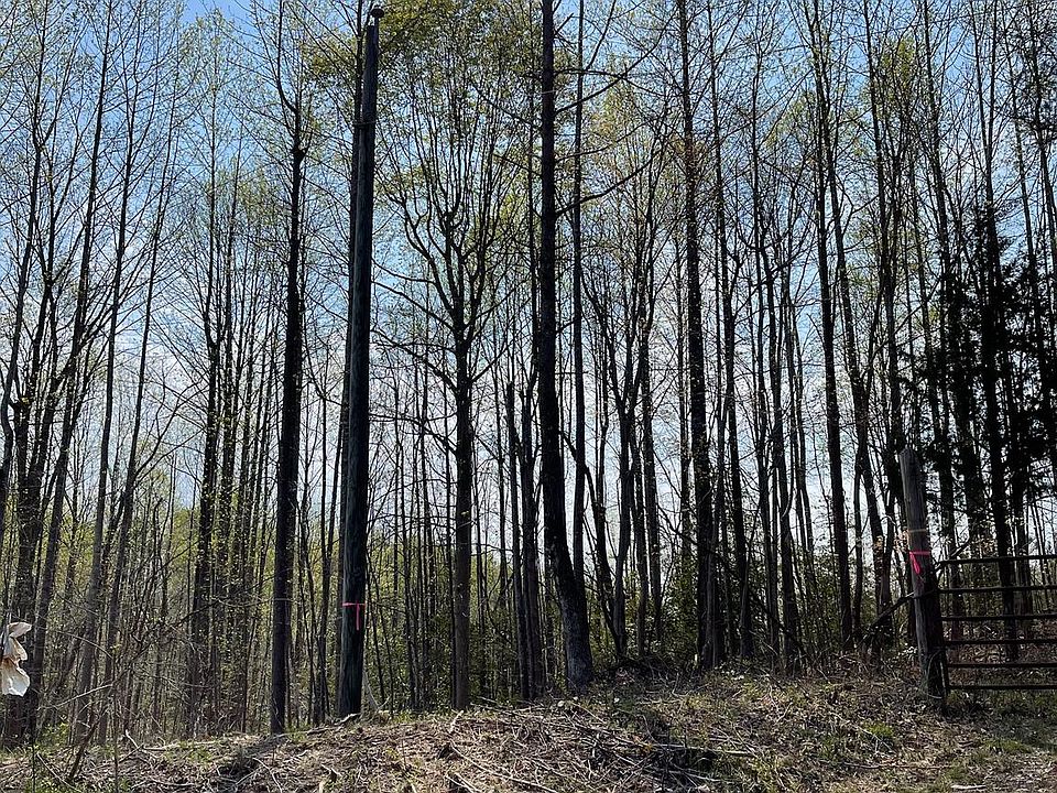 2nd image of Kings Hwy