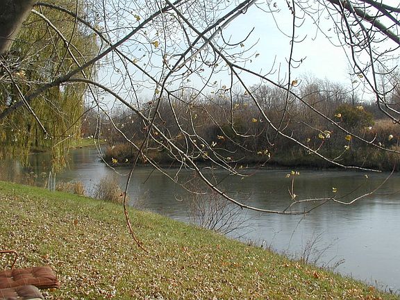 tranquil lake behind home