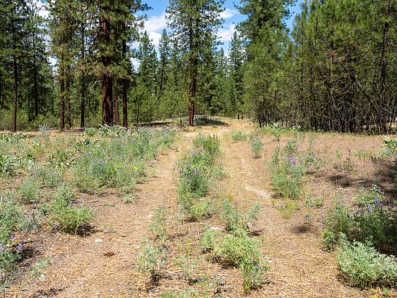 2nd image of 2300 Eagle River Way