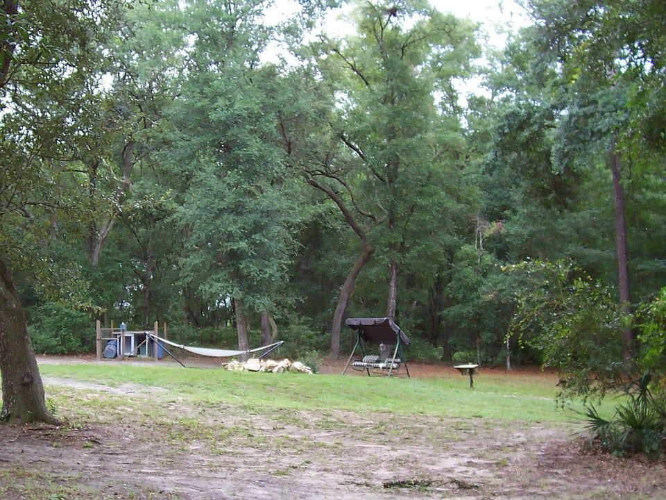 Majestic Oaks