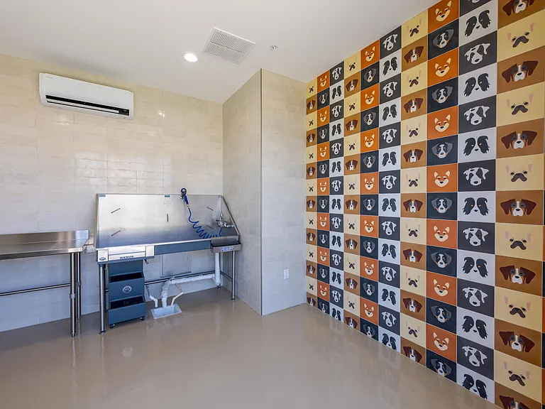 Desert Meadows Townhomes — Photo 25