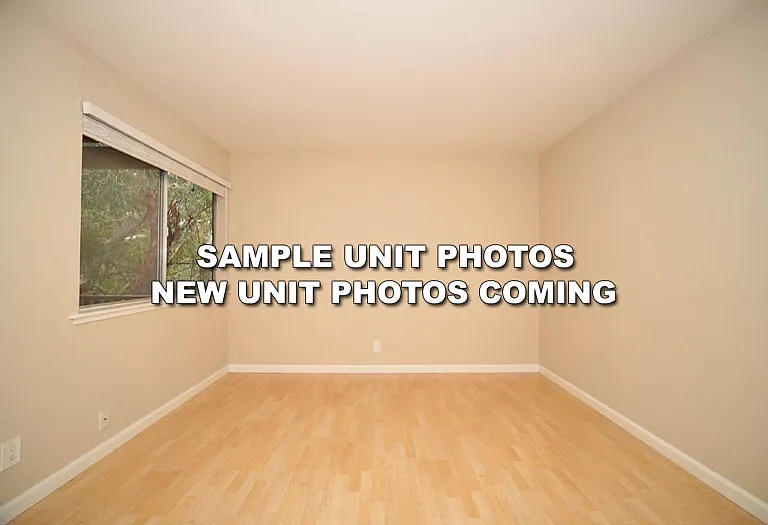 431 Dinahs Ct — Photo 18