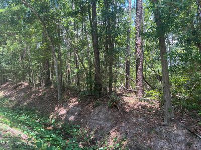 Keller St, Bay Saint Louis, MS, 39520