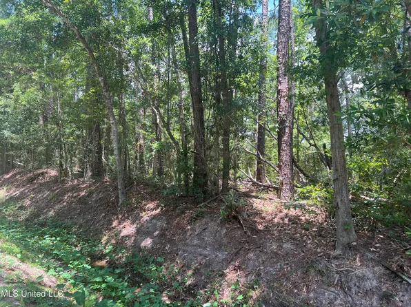 Keller St, Bay Saint Louis, MS 39520