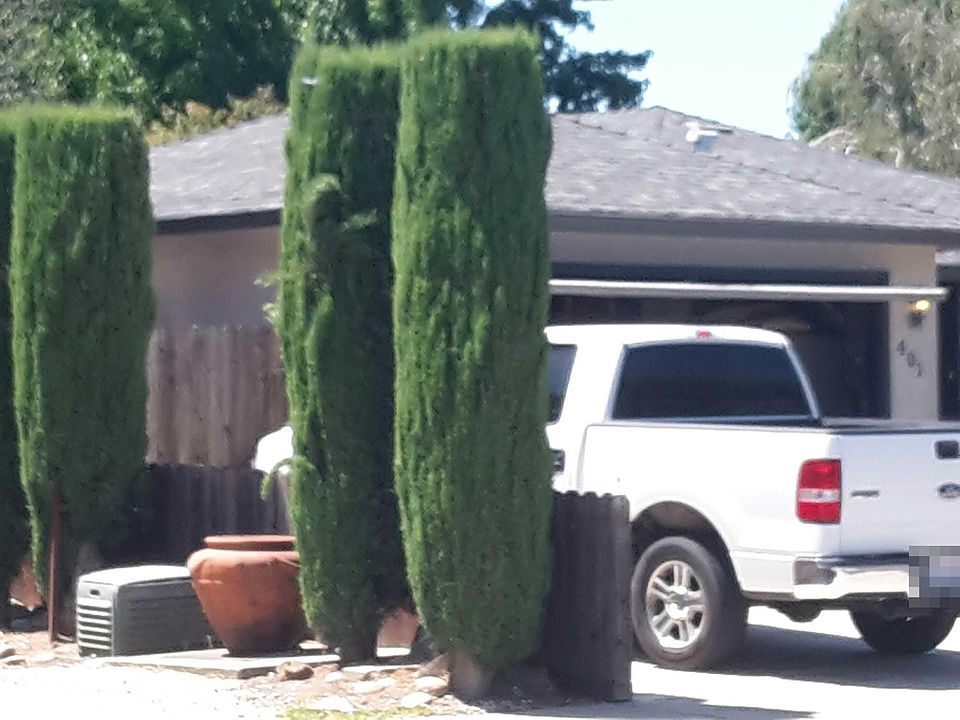 2nd image of 401 Tioga Dr