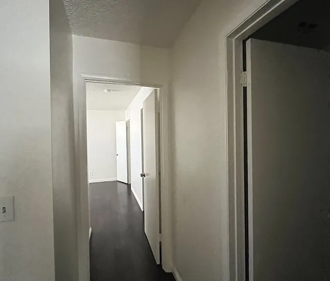 4509 Buena Vista Dr — Photo 11
