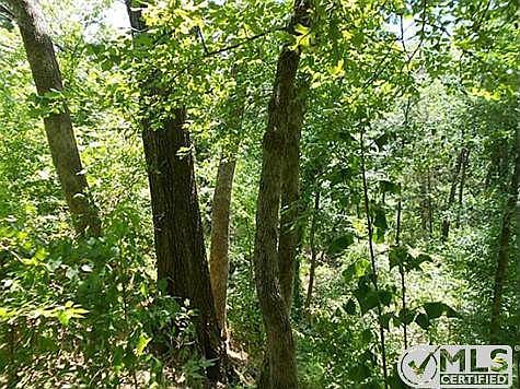5th image of 574 County Road 1202
