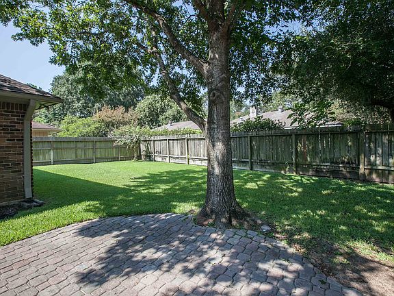 Large shade tree