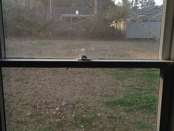 Looking out master bdr to back yard