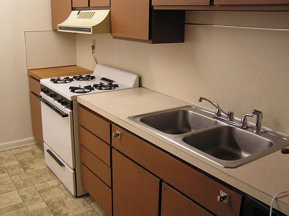 Stainless steel sink with sprayer