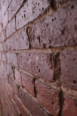 Rented by Citi Habitats | media 11