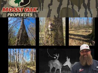 Bogue Chitto Rd SW, Bogue Chitto, MS 39629