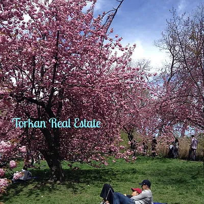 Sold by Torkan Real Estate | media 1