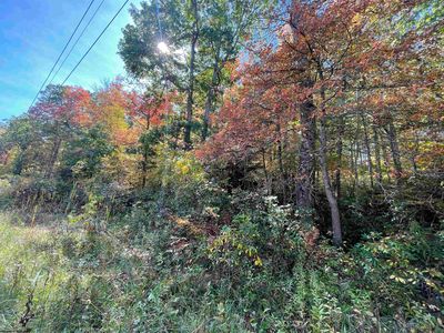 38 Rhododendron Dr, Terra Alta, WV, 26764
