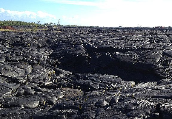 4th image of Leilani Ave Lot 153